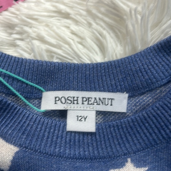 Posh Peanut Galaxy Long Sleeve Sweater Dress - Picture 6 of 8